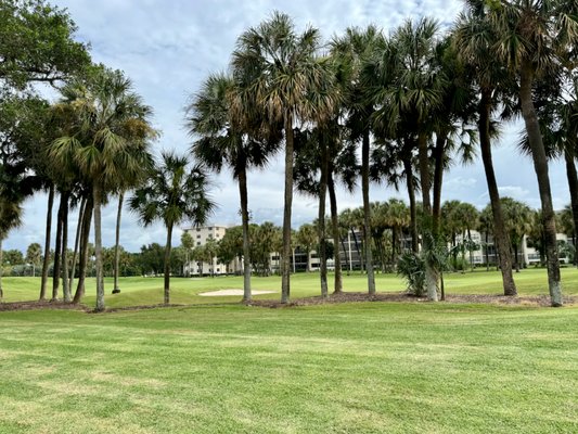 Deer Creek Golf Club by null