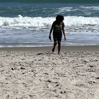 Canova Dog Beach - Dog Parks Near Me - Indialantic, Florida