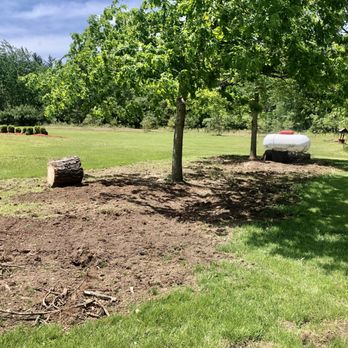 Ground Up Stump Grinding - ground up stump grinding - Landscaping Near Me Ground Up Stump Grinding - ground up stump grinding - Landscaping Near Me
