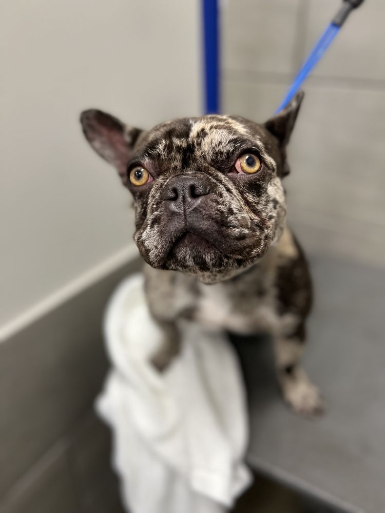 PET’S BARN Updated August 2024 48 Photos 9722 Potranco Rd, San