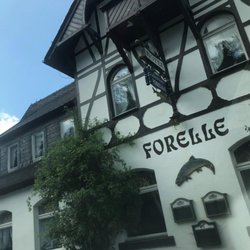 Forelle in Blauenthal - Forelle Parkhotel Pension/Restaurant "Forelle"