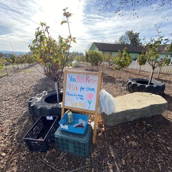 Hooverville Orchards - Fruits & Veggies Near Me - Placerville, California