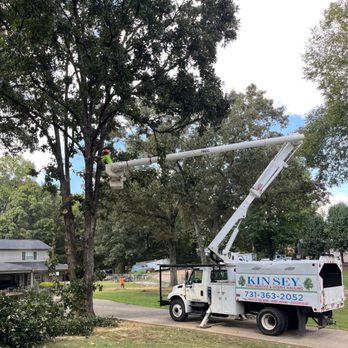 Kinsey Tree Services - Tree Services Near Me - Paris, Tennessee Kinsey Tree Services - Tree Services Near Me - Paris, Tennessee