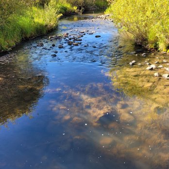 State Forest State Park - Beaver pond trail - Parks Near Me - Walden, Colorado