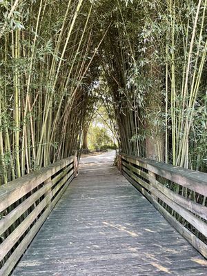 Bellingrath Gardens & Home by null