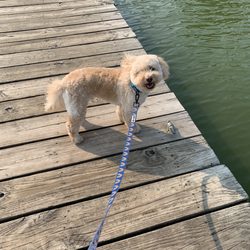 Standing Bear Lake in Omaha gift card