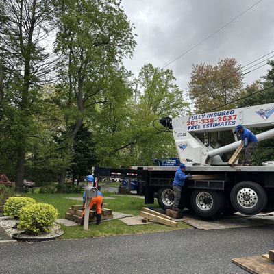 O'Brother Tree Service