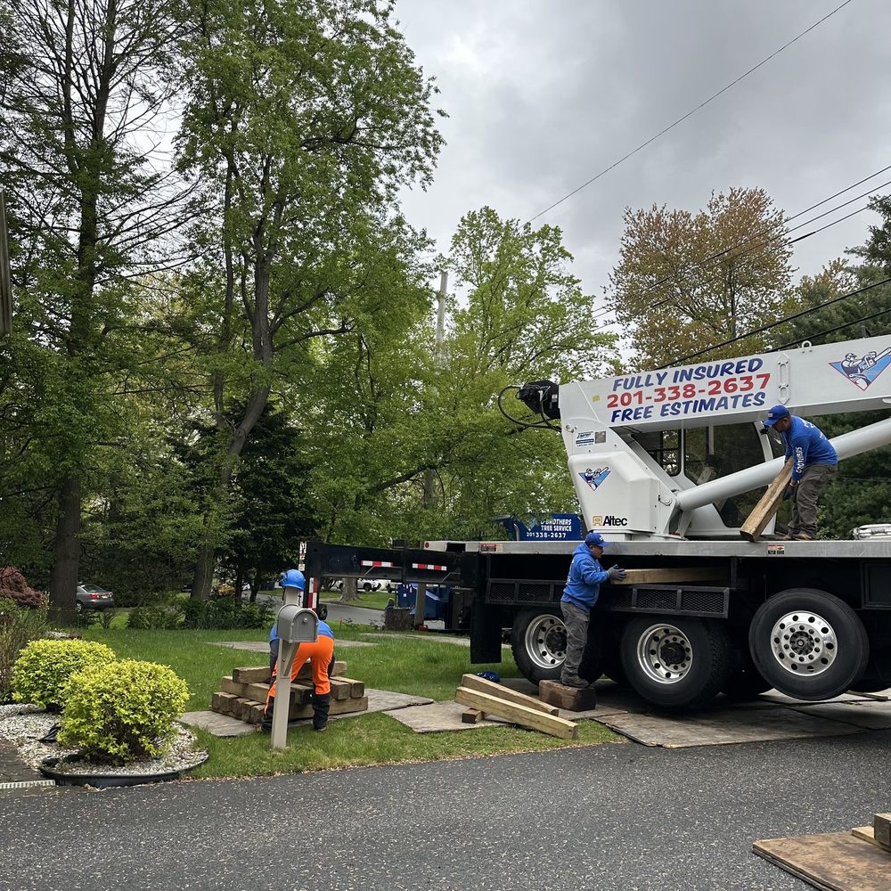 O'Brother Tree Service - tree service in Bergenfield, NJ