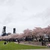 Japanese American Historical Plaza gift card