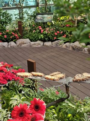 Butterfly Garden by null