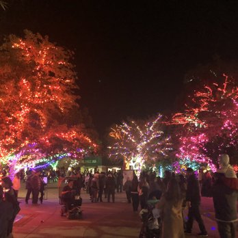 Zoolights - Zoos Near Me - Phoenix, Arizona