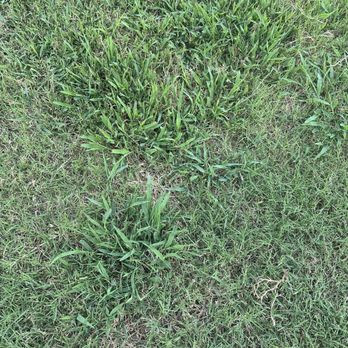 Nutri-Green Lawn Care - Landscaping Near Me - Tulsa, Oklahoma
