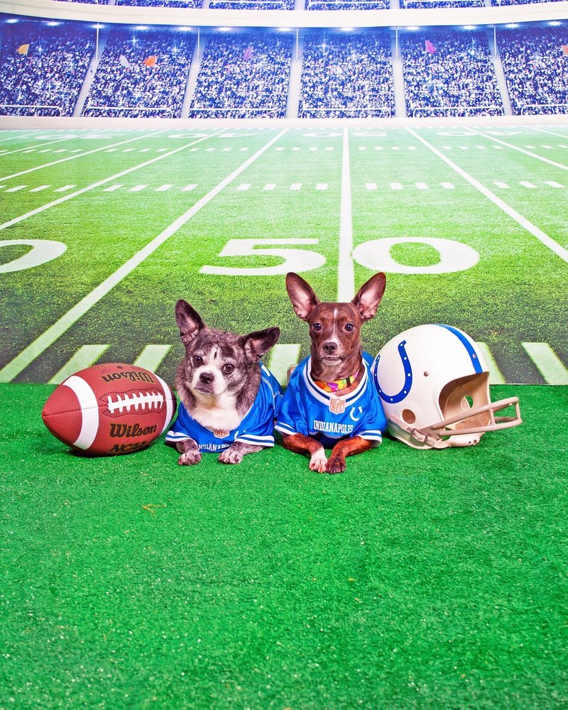 BENNY’S PET DEPOT 51 Photos & 16 Reviews 5202 Simpson Ferry Rd, Mechanicsburg, PA Yelp