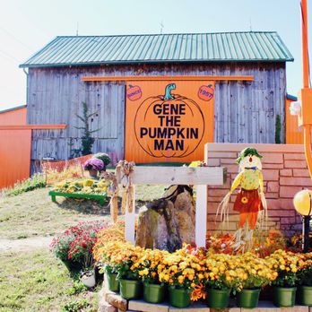 Gene The Pumpkin Man - Gene the pumpkin man! - Pumpkin Patches Near Me - Kalamazoo, Michigan
