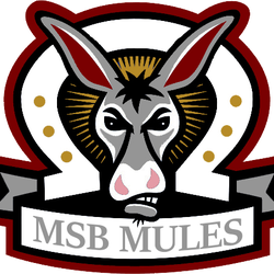 Missouri School for the Blind