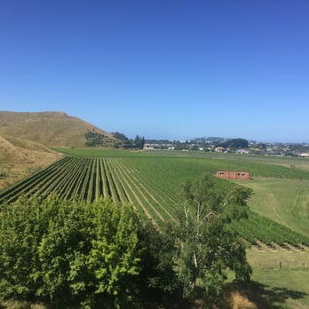 Mission Estate Winery - View from the courtyard - Wineries Near Me - Napier, HKB Mission Estate Winery - View from the courtyard - Wineries Near Me - Napier, HKB