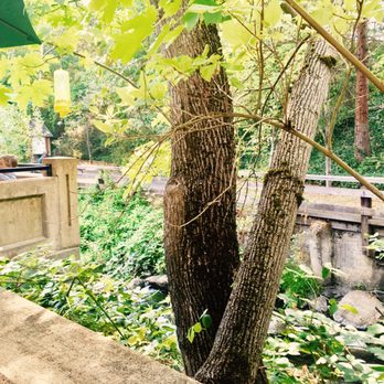 Greenleaf Restaurant - Our table outside next to the creek - Breakfast & Brunch Near Me - Ashland, Oregon Greenleaf Restaurant - Our table outside next to the creek - Breakfast & Brunch Near Me - Ashland, Oregon
