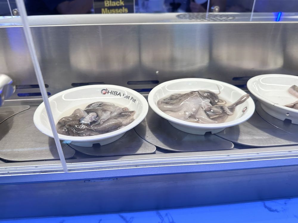 CHIBA HOT POT Updated November 2024 18 Photos & 24 Reviews 2050