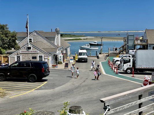 Chatham Pier Fish Market by null