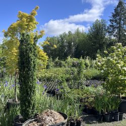Rocky Mountain Nursery