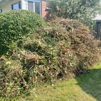 K Lee Express - Large pile of yard waste - Junk Removal & Hauling Near Me K Lee Express - Large pile of yard waste - Junk Removal & Hauling Near Me