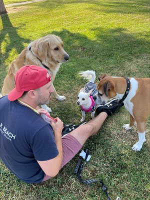 Pan Pacific Park by null