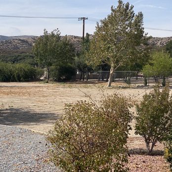 JS Tree Care - Front yard. - Tree Services Near Me - Hesperia, California JS Tree Care - Front yard. - Tree Services Near Me - Hesperia, California
