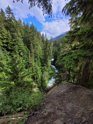 Ziptrek Ecotours by null