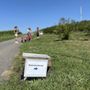 Photo of Shaw Orchards