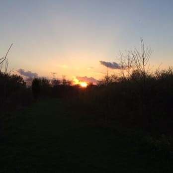 Greene Valley County Forest Preserve - Hiking Near Me - Naperville, Illinois