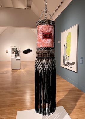 Virginia Museum of Contemporary Art by null