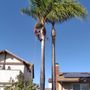 Benito Landscaping & Maintenance