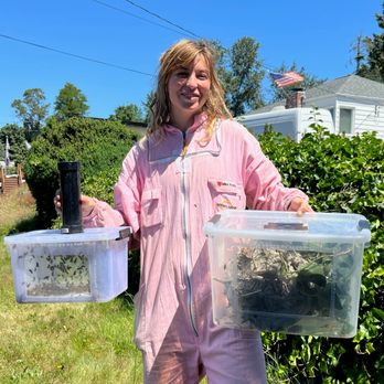 Bee’s Knees Apiaries - Wasp Removal - Pest Control Near Me