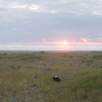 Ocean Mist Resort - Sunset - Resorts Near Me - Ocean City, Washington Ocean Mist Resort - Sunset - Resorts Near Me - Ocean City, Washington
