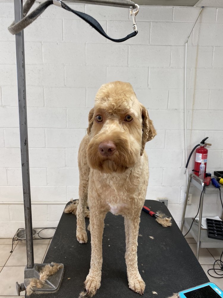 KAREN’S FUR BABIES Updated September 2024 14 Photos & 10 Reviews