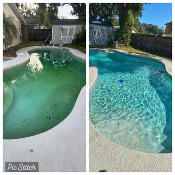The Pool Bear - Green to Clean! - Pool Cleaners Near Me