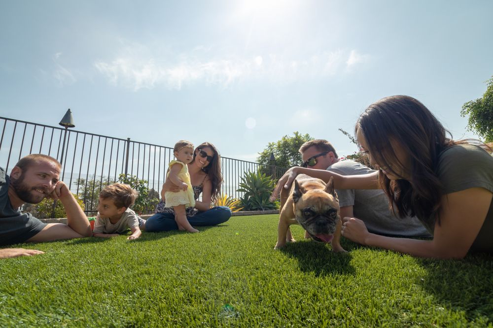 US Turf - veterans service organization in San Diego, CA