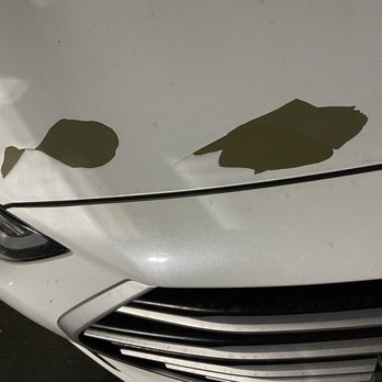 BumperDoc - Car hood - Auto Repair Near Me - Santee, California BumperDoc - Car hood - Auto Repair Near Me - Santee, California