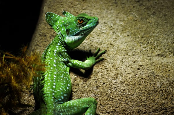 Sevilla Aquarium by null