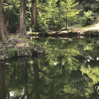 Krause Springs - Lower spring - Campgrounds Near Me - Spicewood, Texas Krause Springs - Lower spring - Campgrounds Near Me - Spicewood, Texas
