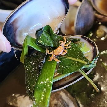 Nha Trang Restaurant - Clam had eaten a little crab - Vietnamese Near Me - San Jose, California Nha Trang Restaurant - Clam had eaten a little crab - Vietnamese Near Me - San Jose, California