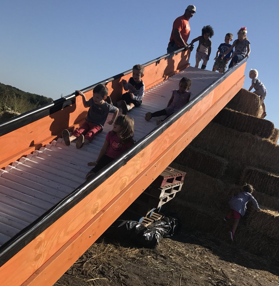 THE PUMPKIN PAD Updated September 2024 42 Photos 35100 E Outer