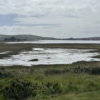 The Lodge at Bodega Bay - View of the marshlands from the lodge - Hotels Near Me - Bodega Bay, California
