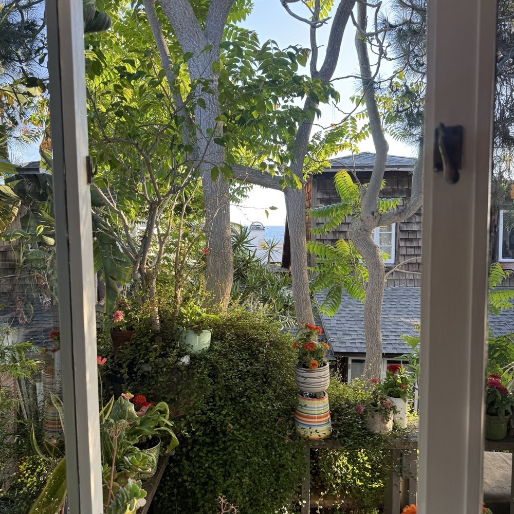 Nice Touch Chiropractic - View from the adjustment room - Chiropractors Near Me - Laguna Beach, California