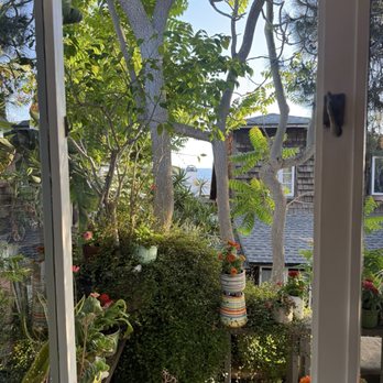 Nice Touch Chiropractic - View from the adjustment room - Chiropractors Near Me - Laguna Beach, California