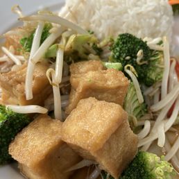 Tofu and bean sprouts in garlic sauce.