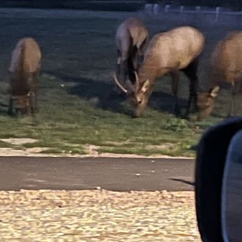Elk Valley Casino - Same - Casinos Near Me - Crescent City, California