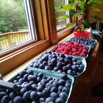 Libby & Son U-Pick - Pick Your Own Farms Near Me - Limerick, Maine