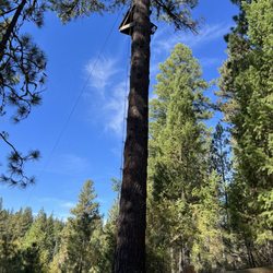 Trinity Pines Camp & Conference Center - Zip line