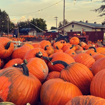 The Pumpkin Patch - Pumpkin Patches Near Me - Orem, Utah